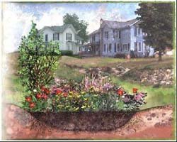 build a rain garden