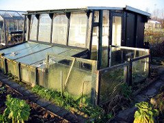 Grow Your Own Food