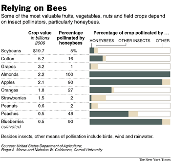 bees