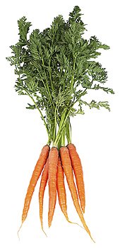 bunch of carrots