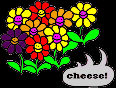 cheese