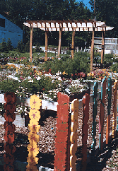Community Garden