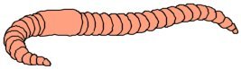 earthworm composting