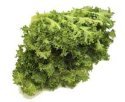 escarole - lettuce salad greens