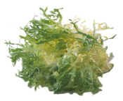 Curly endive