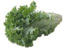 curly lettuce:lettuce salad greens