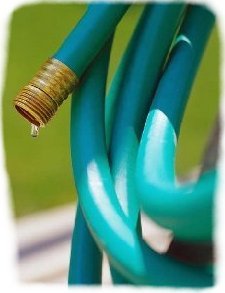 hose.jpg - 13kb