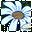 icon_daisy.jpg - 2kb