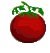 Organic Tomatoes