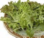 lettucecontainer.jpg - 10kb