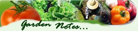 Organic Gardening Tips