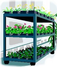 Plant Tray