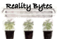 reality byte