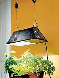 SunLite Fixture