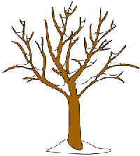 winter tree