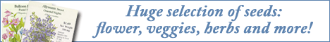 Huge Selection of Flowers, Vegetables, Herbs, and MORE!