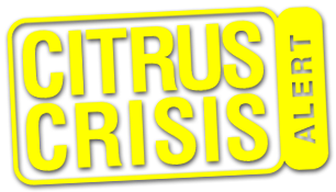 citrus disease