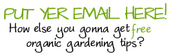 Organic Gardening Newsletter