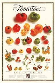 Buy Tomatoes at Art.com