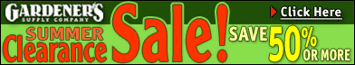 Summer Sale ends 8/15/04