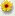 right_yellow.gif - 1kb