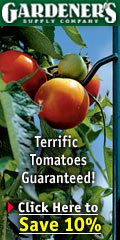10% off of $75 - expires 8/15/05