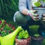 The 7 Best Women’s Gardening Gloves