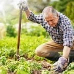 Does Gardening Make Arthritis Worse