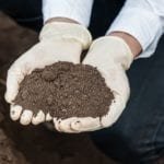 How To Make Sandy Loam Soil For Your Plants