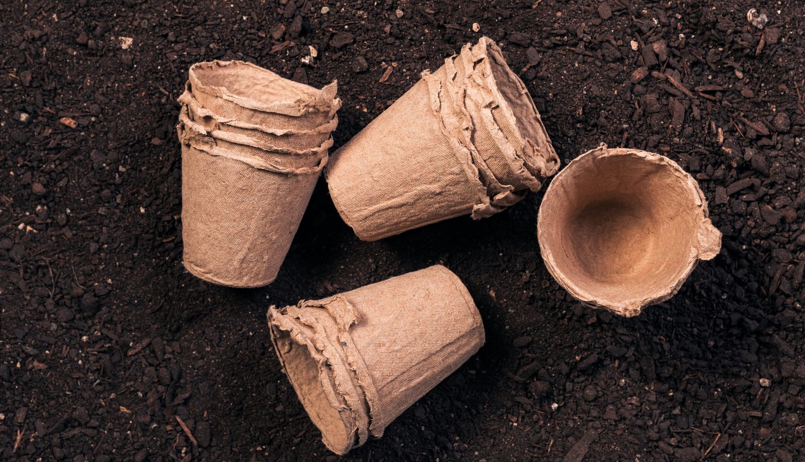 Is Cardboard Safe For Organic Gardening