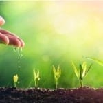 When Can I Start Gardening In The Spring?