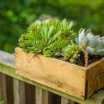 The 7 Best Garden Planter Boxes For Limited Garden Spaces