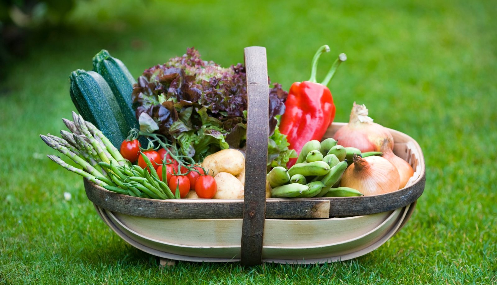 The 7 Best Garden Trugs For Collecting Harvest