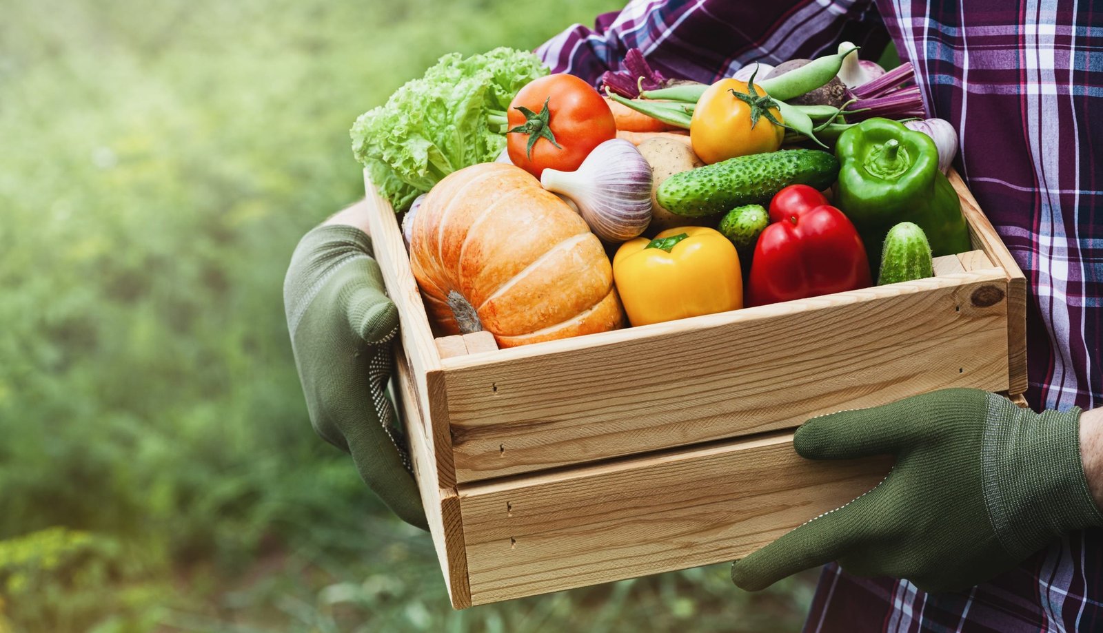 The 7 Best Garden Vegetables You Can Grow In Your Garden