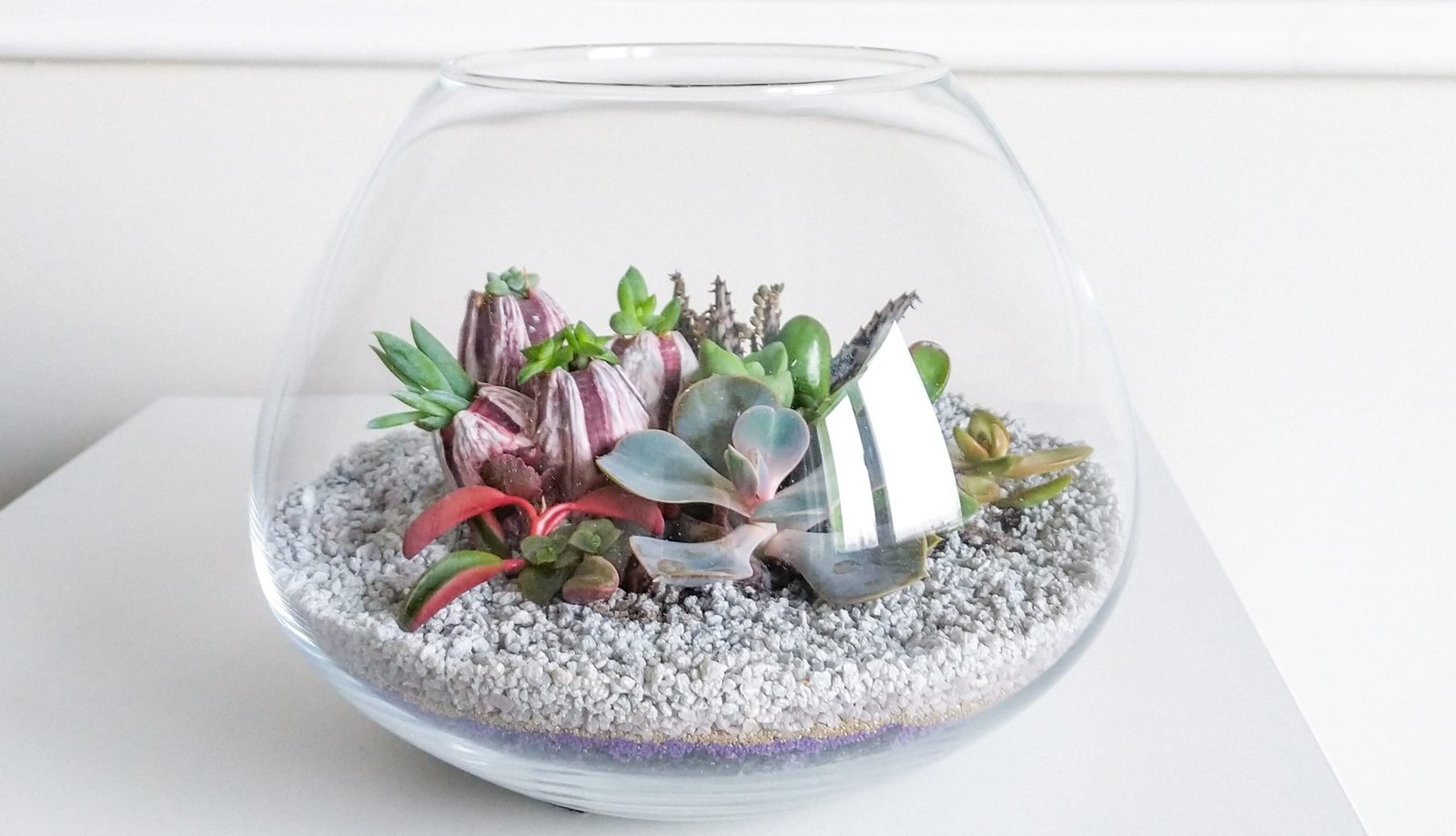 The 7 Best Gardening Gifts For Women