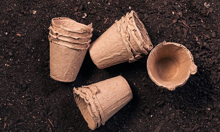 Is Cardboard Safe For Organic Gardening