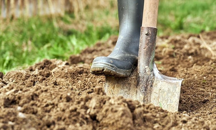 How To Loosen Clay Soil For Gardening: Top Hacks​