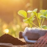 How To Reuse Plastic Bottles For Gardening: Easy Recycling Tips