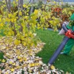 The 7 Best Electric Garden Vacuums