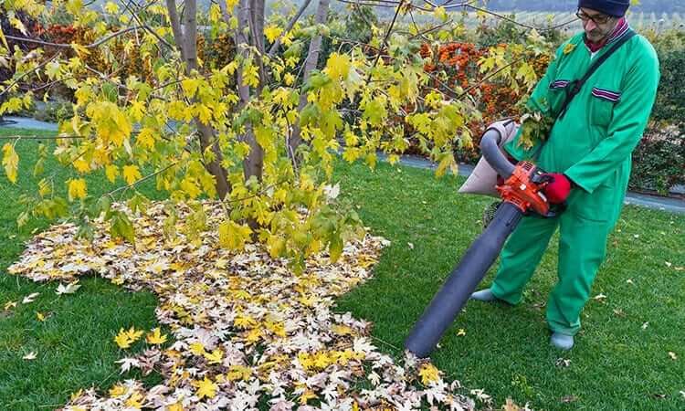 The 7 Best Electric Garden Vacuums