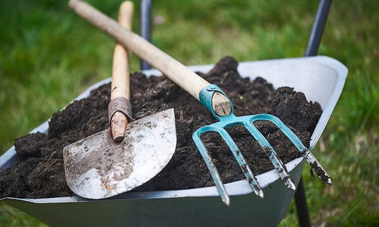 The 7 Best Garden Forks And Spades