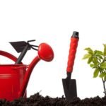 Beautifying and maintaining your garden can be a stress reliever.