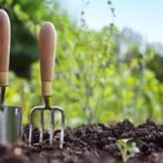 The 7 Best Garden Hand Tools For Gardeners
