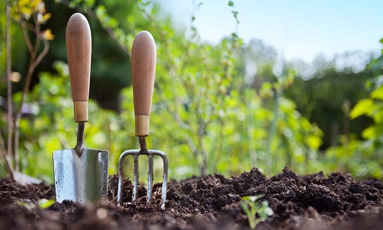 The 7 Best Garden Hand Tools For Gardeners