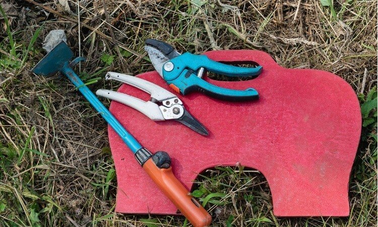 The 7 Best Garden Kneeling Pads For Everyday Gardening