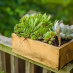 The 7 Best Garden Planter Boxes For Limited Garden Spaces