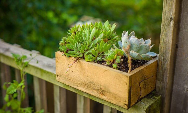 The 7 Best Garden Planter Boxes For Limited Garden Spaces