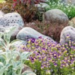 The 7 Best Garden Rocks For Landscaping