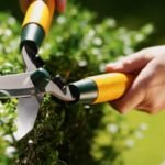The 7 Best Garden Snips