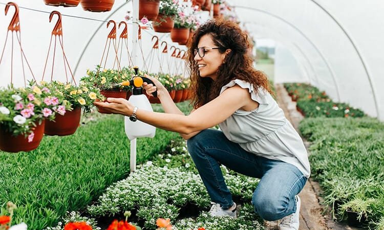The 7 Best Garden Sprayers